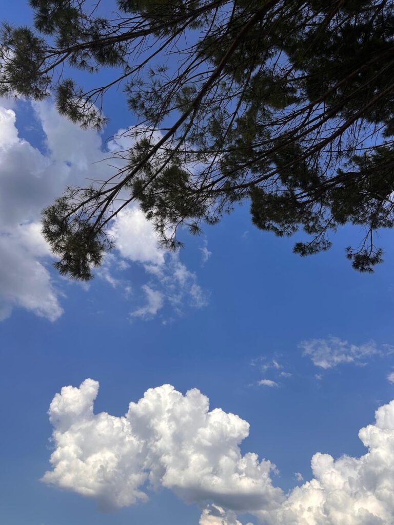 “Maestra, sfogliamo il cielo?”